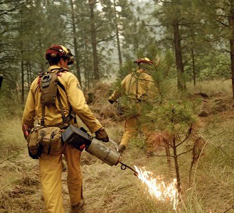 Wildland Fire Fighting Tools and Methods